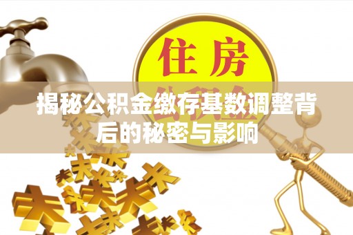 郧阳揭秘公积金缴存基数调整背后的秘密与影响