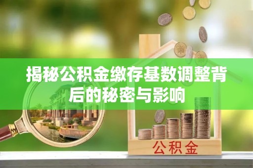 郧阳揭秘公积金缴存基数调整背后的秘密与影响