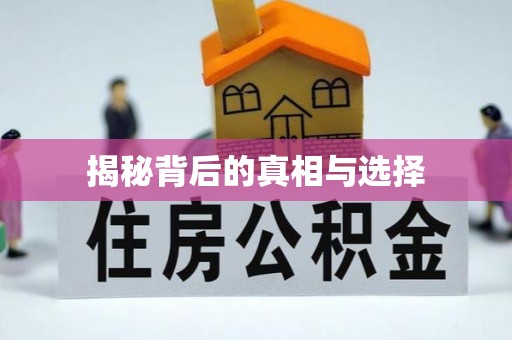 郧阳揭秘背后的真相与选择
